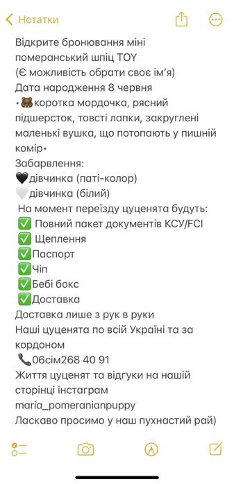 Цуценя дівчинка померанський шпіц бебі фейс пакет документів міжнародного клубу КСУ/FCI