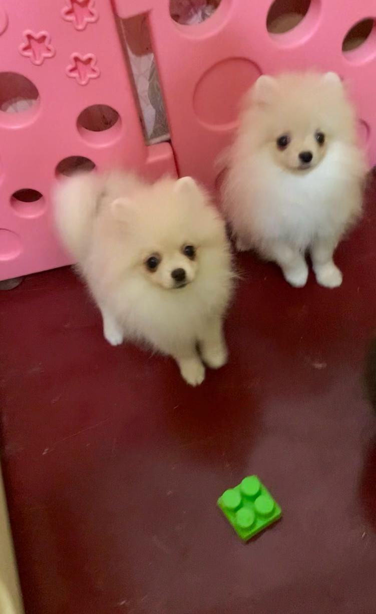 Очаровательная малышка