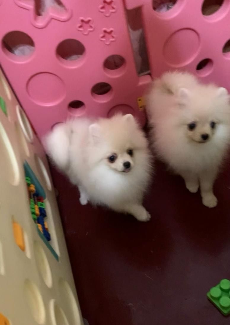 Очаровательная малышка