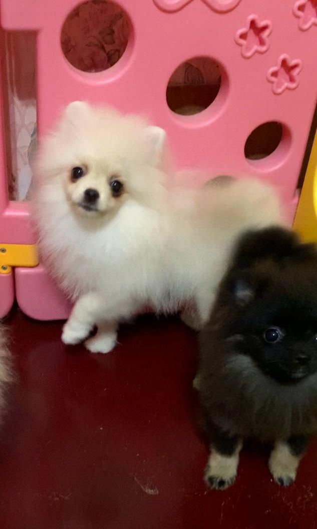 Очаровательная малышка