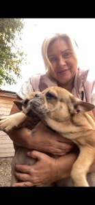 Дівчинка і хлопчик французькі бульдожки