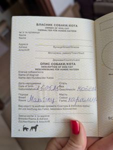 Міні Мальтипу F1