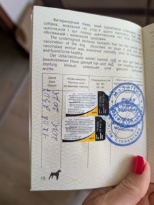 Міні Мальтипу F1