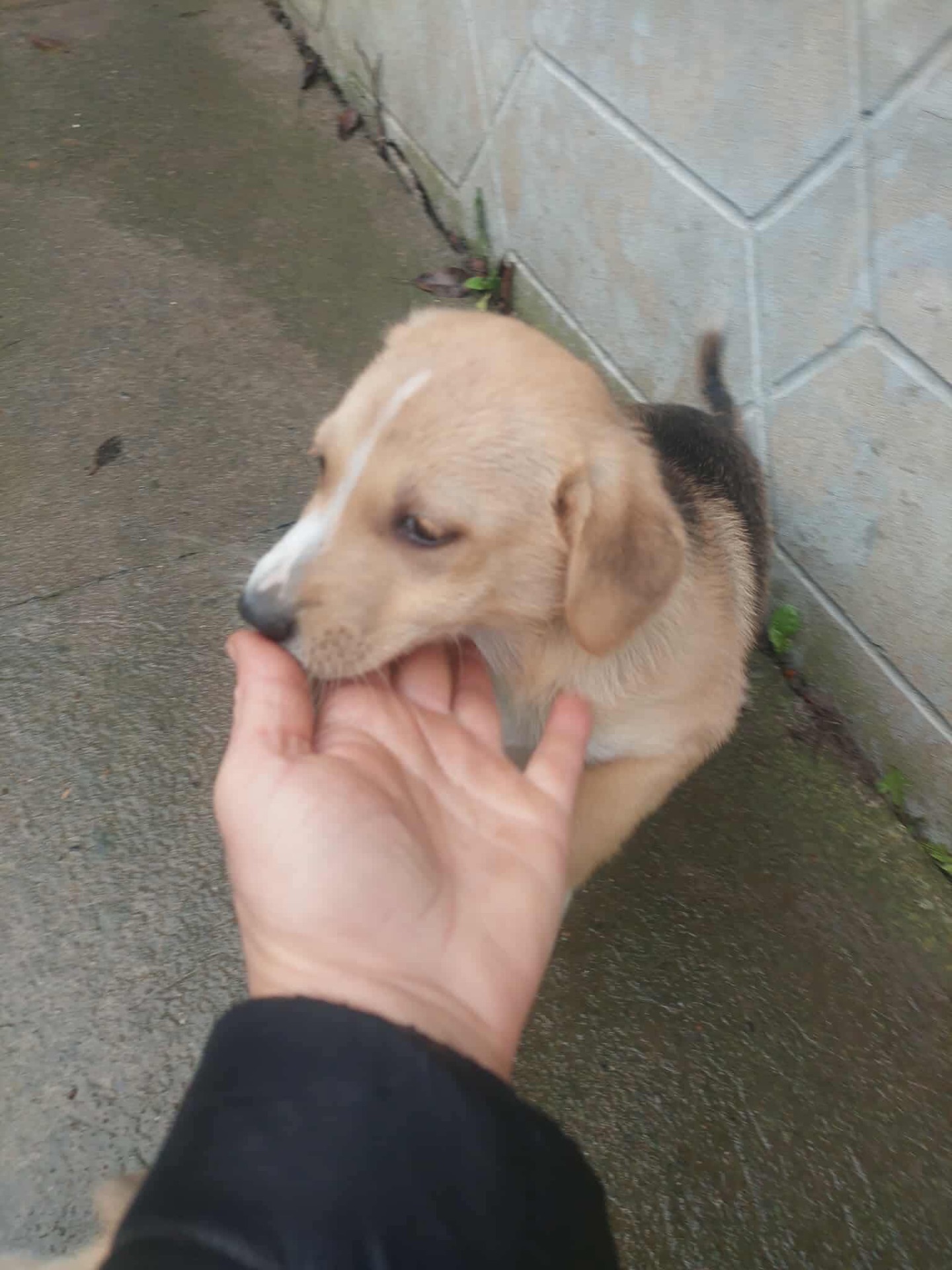 Малюки в добрі руки 😍