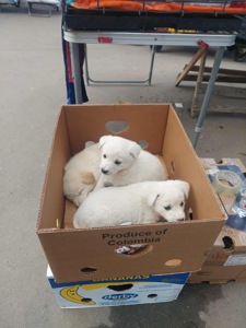 Малюки в добрі руки 😍