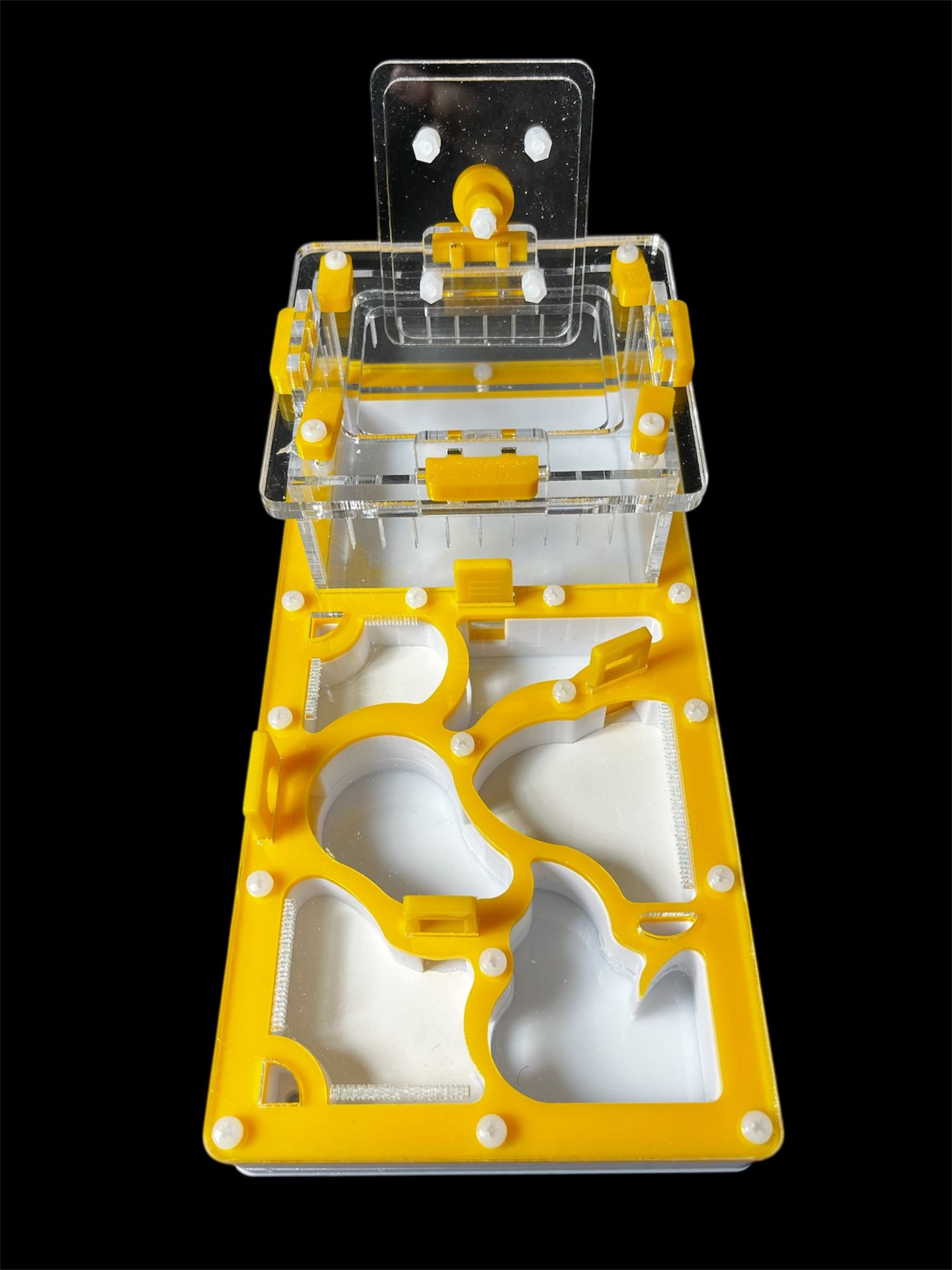 Мурашина ферма жовта 220x110 мм з гіпсом для Messor та Camponotus. Формікарій з 3 камерами. Купити