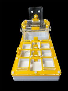 Купить муравьиную ферму с гипсом для Camponotus. Желтый формикарий 220x110 мм. Доставка