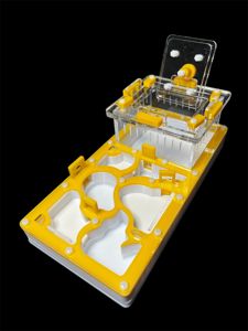 Мурашина ферма жовта 220x110 мм з гіпсом для Messor та Camponotus. Формікарій з 3 камерами. Купити