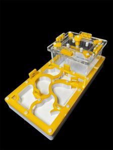 Муравьиная ферма черная 220x110 мм с гипсом для Pheidole. Формикарий с 3 камерами. Купить