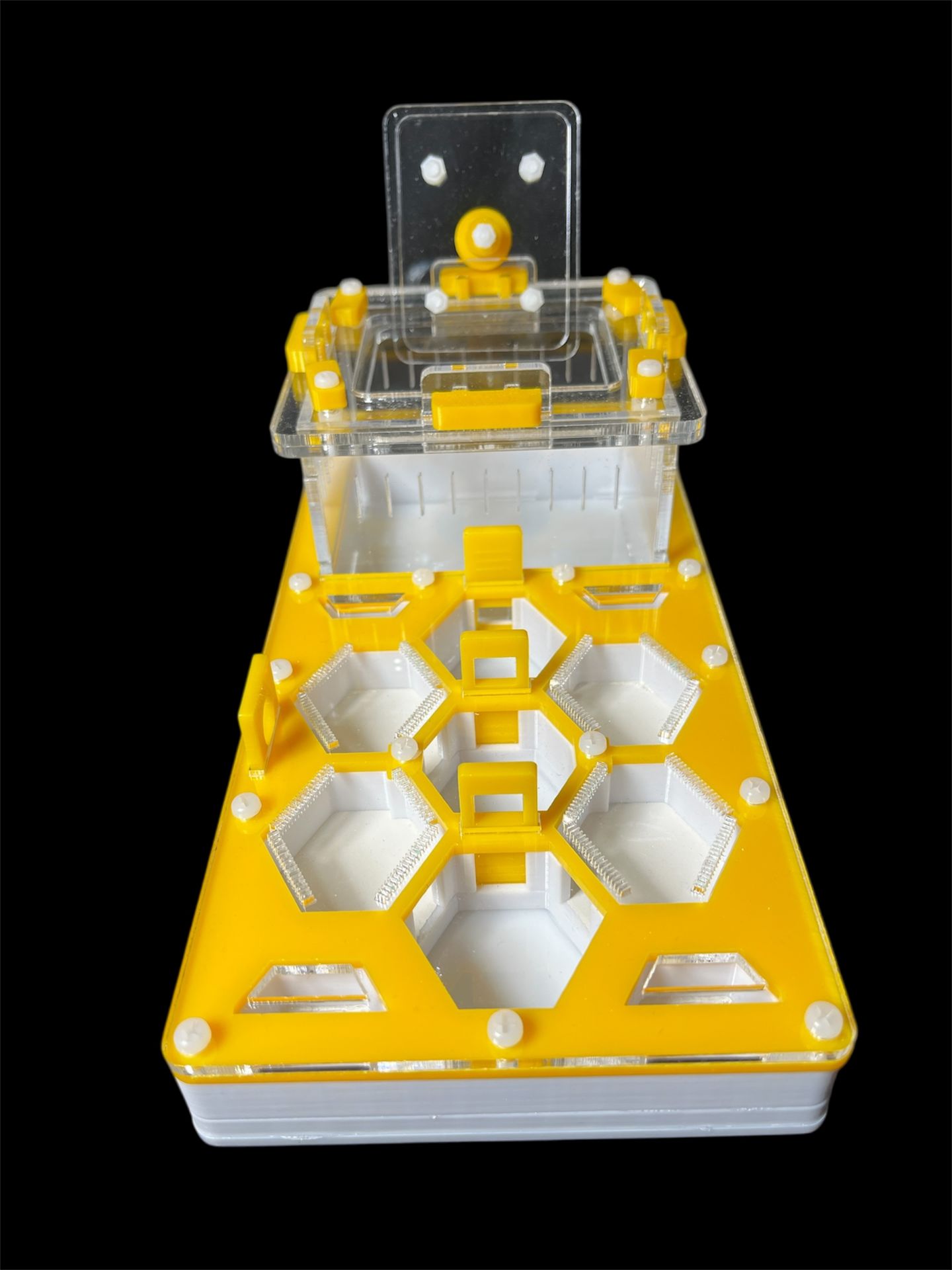 Високоякысна мурашина ферма соти жовта 220x110 мм з гіпсом для Messor Camponotus. Формікарій 700грн