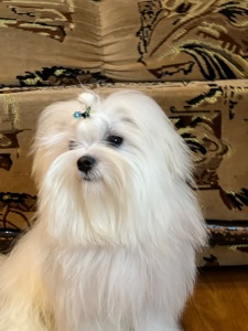 Мальчик 8 месяцев
