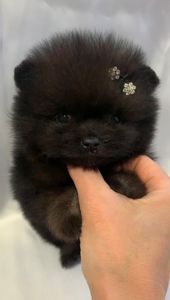 Очаровательная малышка
