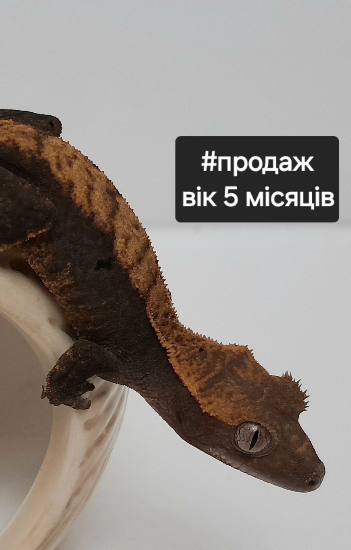 Бананоїд