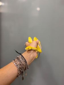 Зелений пітон