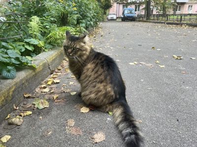 Марсель