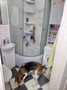 Вайс