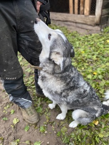 Тося в пошуках родини