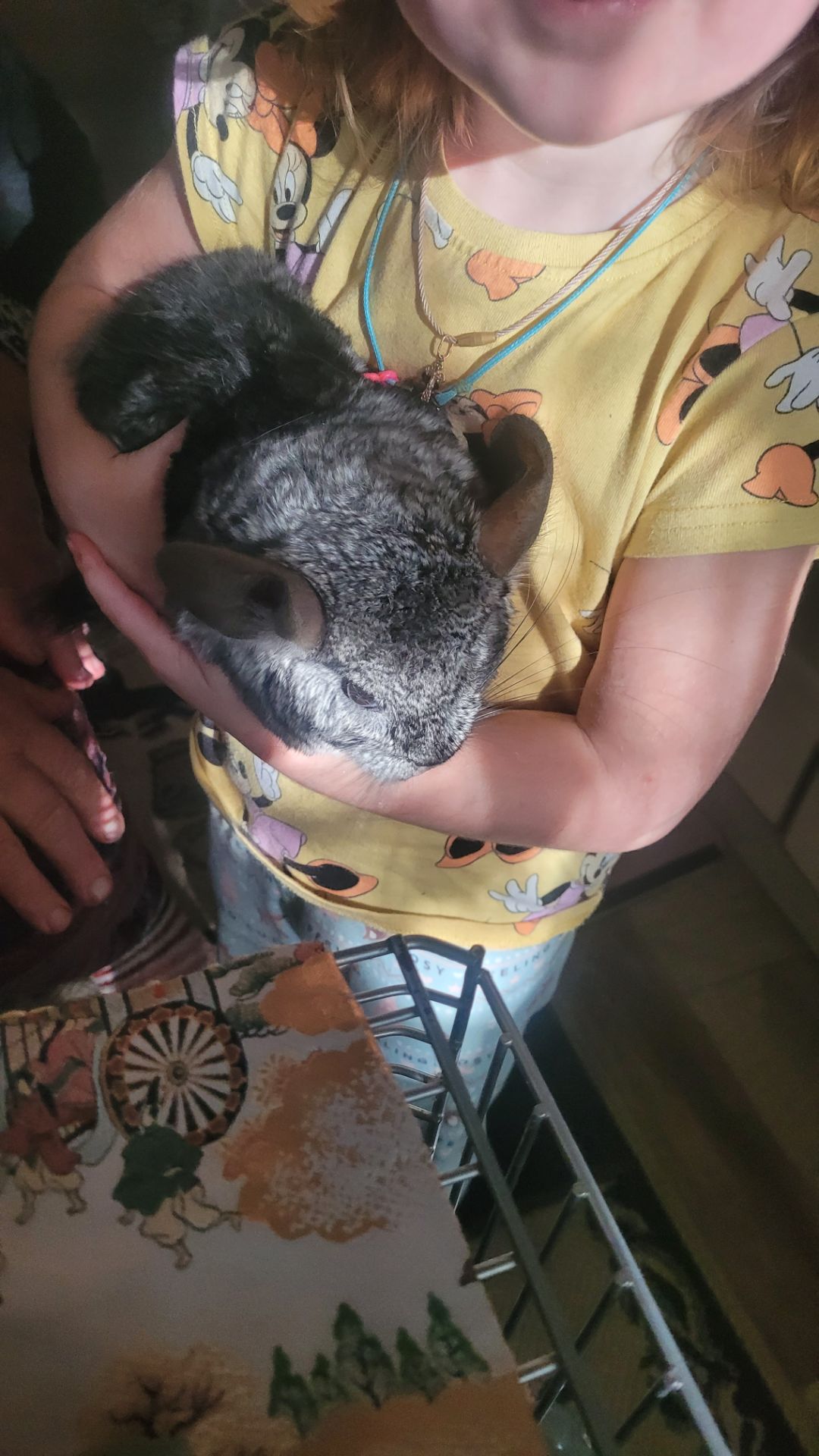 Хлопчик