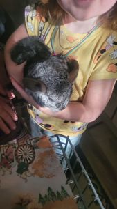 Хлопчик