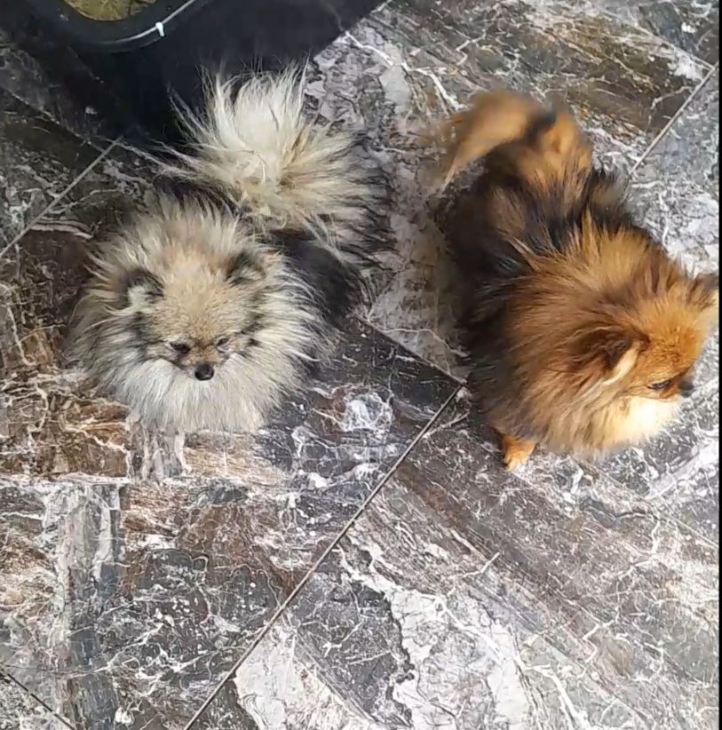 Мальчик взрослый молодой