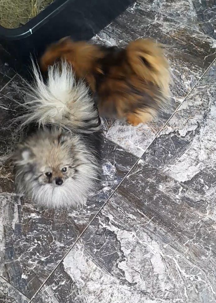 Мальчик взрослый молодой