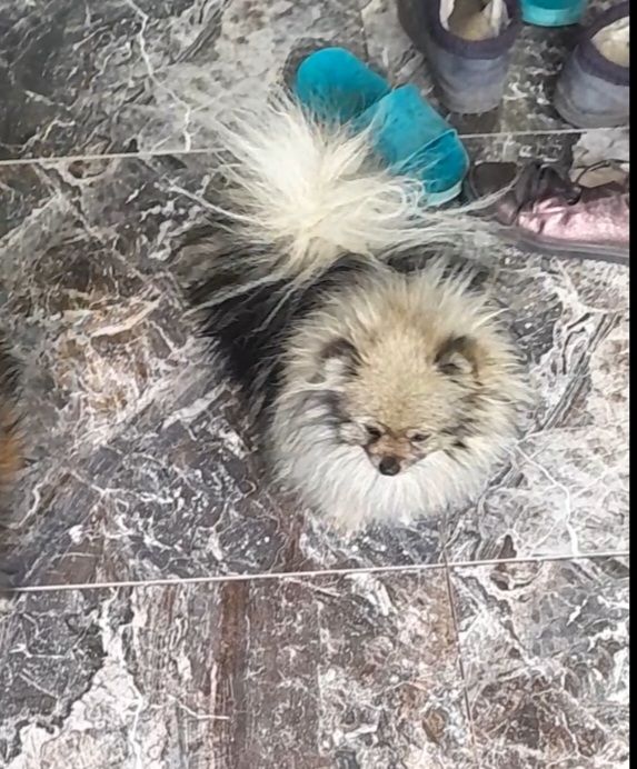 Мальчик взрослый молодой