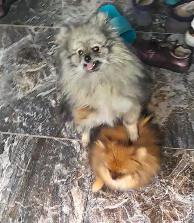 Мальчик взрослый молодой