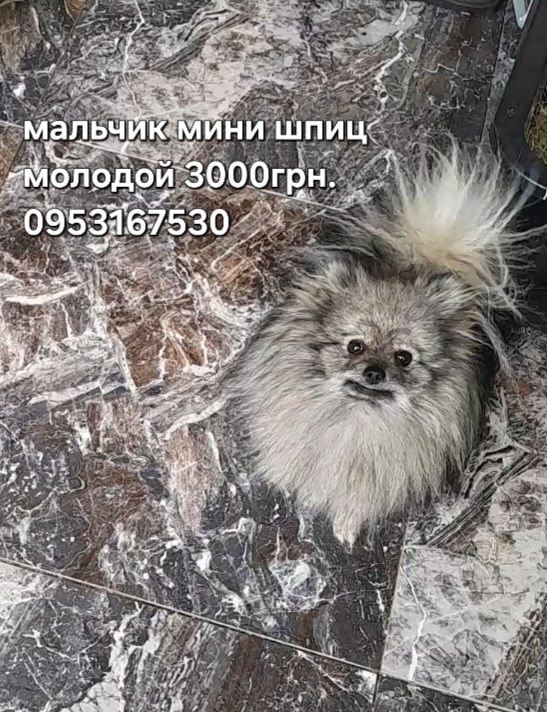 Мальчик взрослый молодой