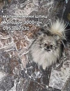 Мальчик взрослый молодой