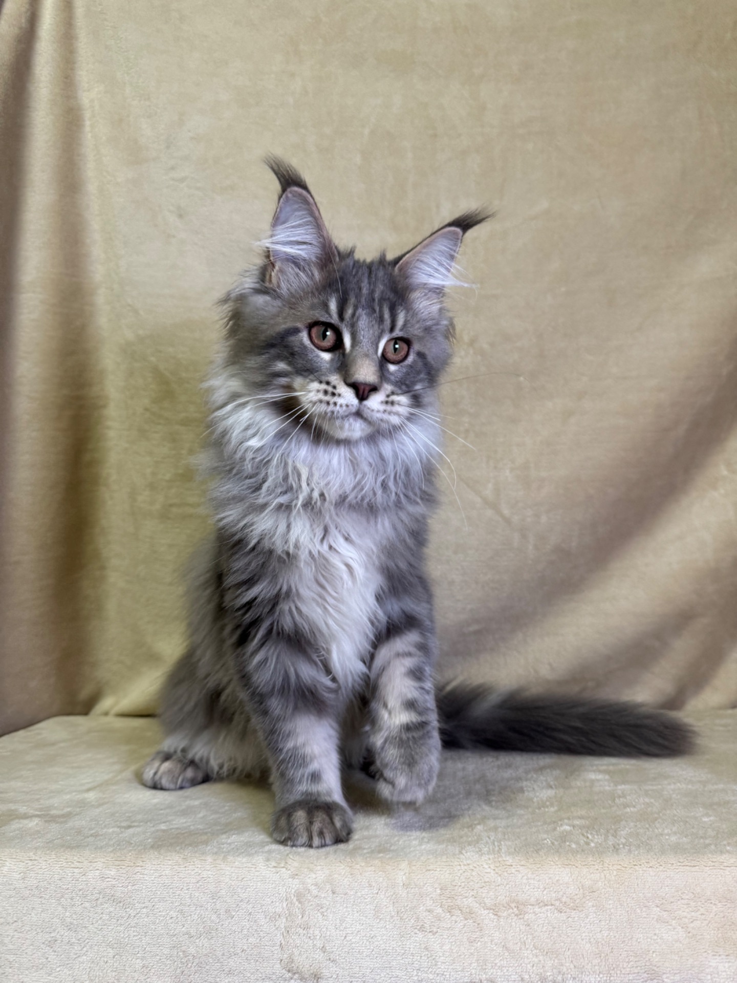 Нельсон мейн кун хлопчик