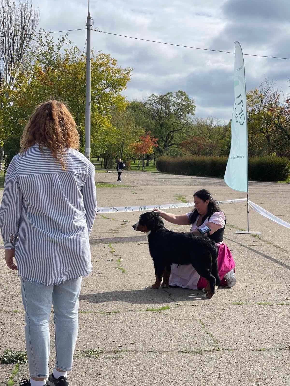 Дівчинка бернського зенненхунда