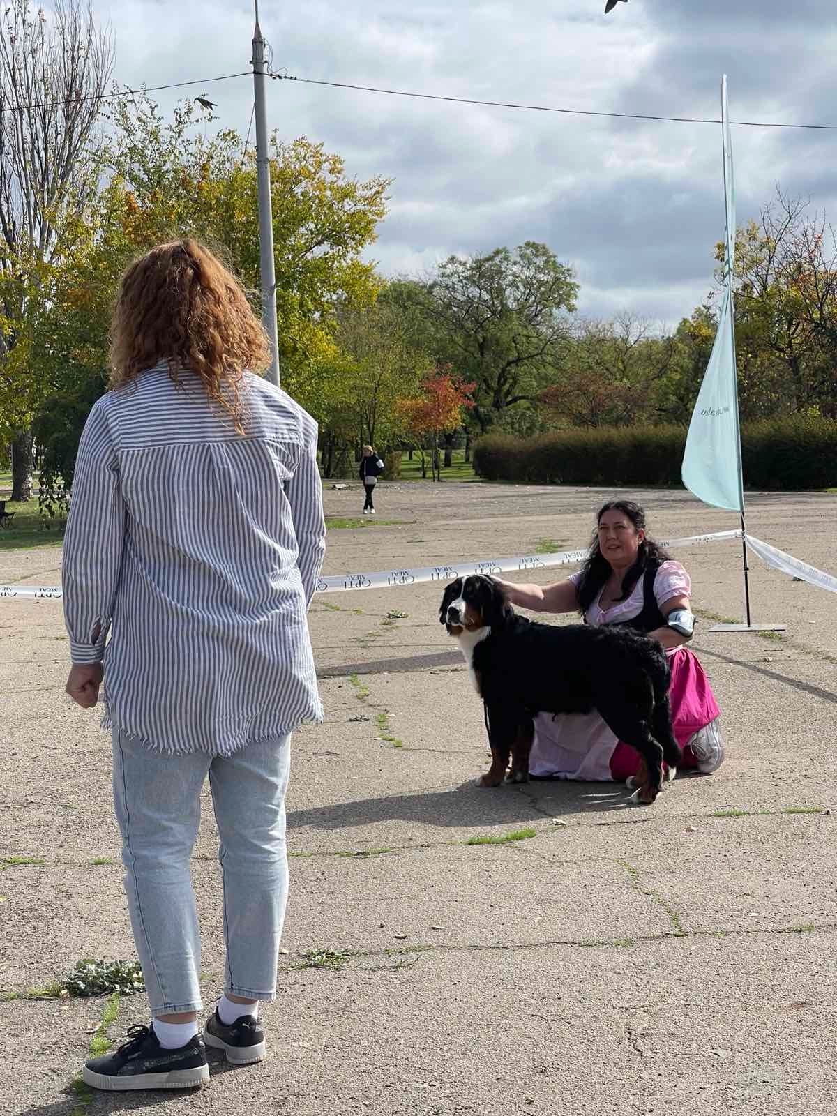 Дівчинка бернського зенненхунда