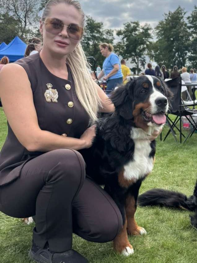 Дівчинка бернського зенненхунда