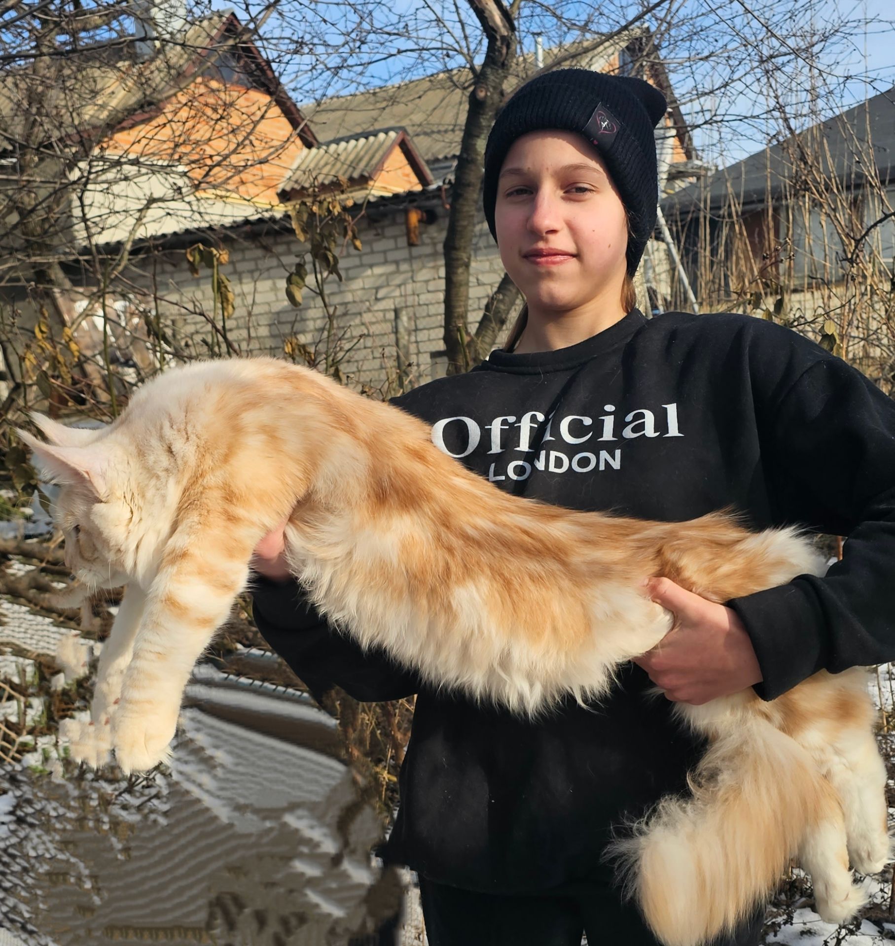 XXL размер мальчик мейн кун