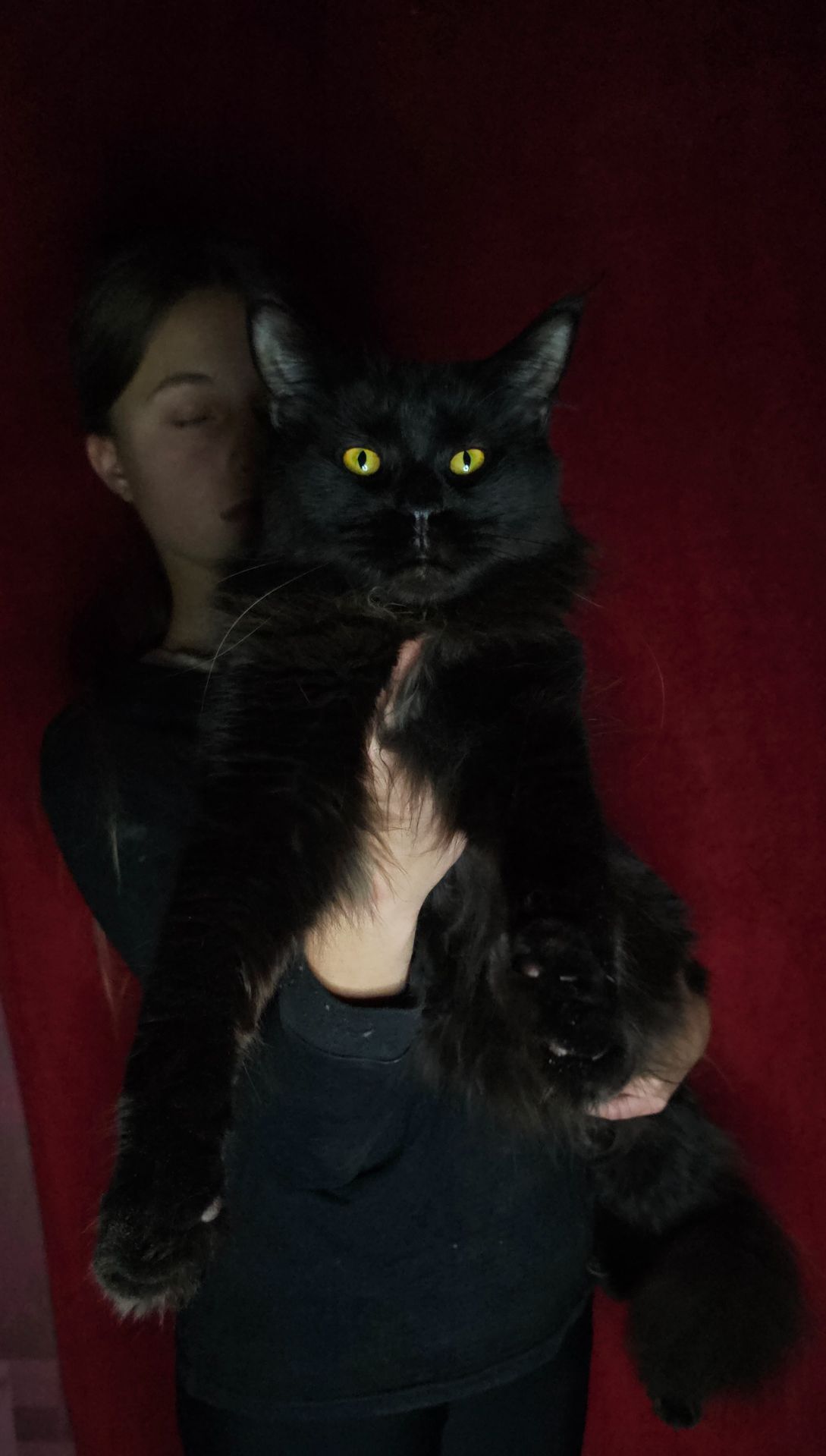 Чёрный бриллиант мальчик мейн кун