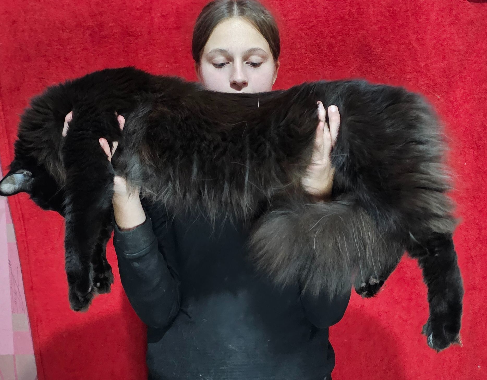 Чёрный бриллиант мальчик мейн кун