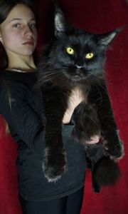 Чёрный бриллиант мальчик мейн кун