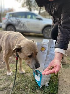 Стафіня Лала