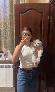 Цуценята мальтипу