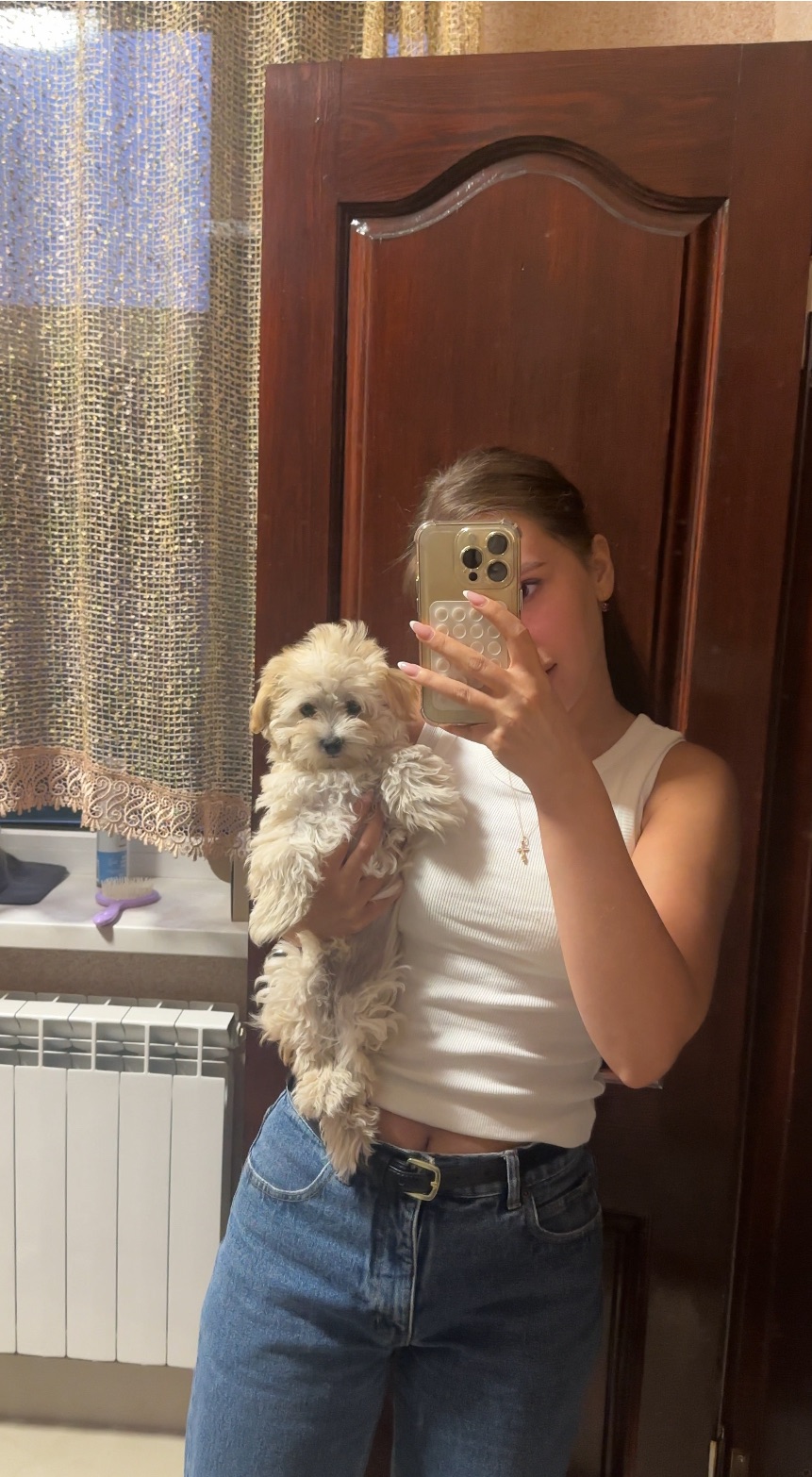 Цуценята мальтипу