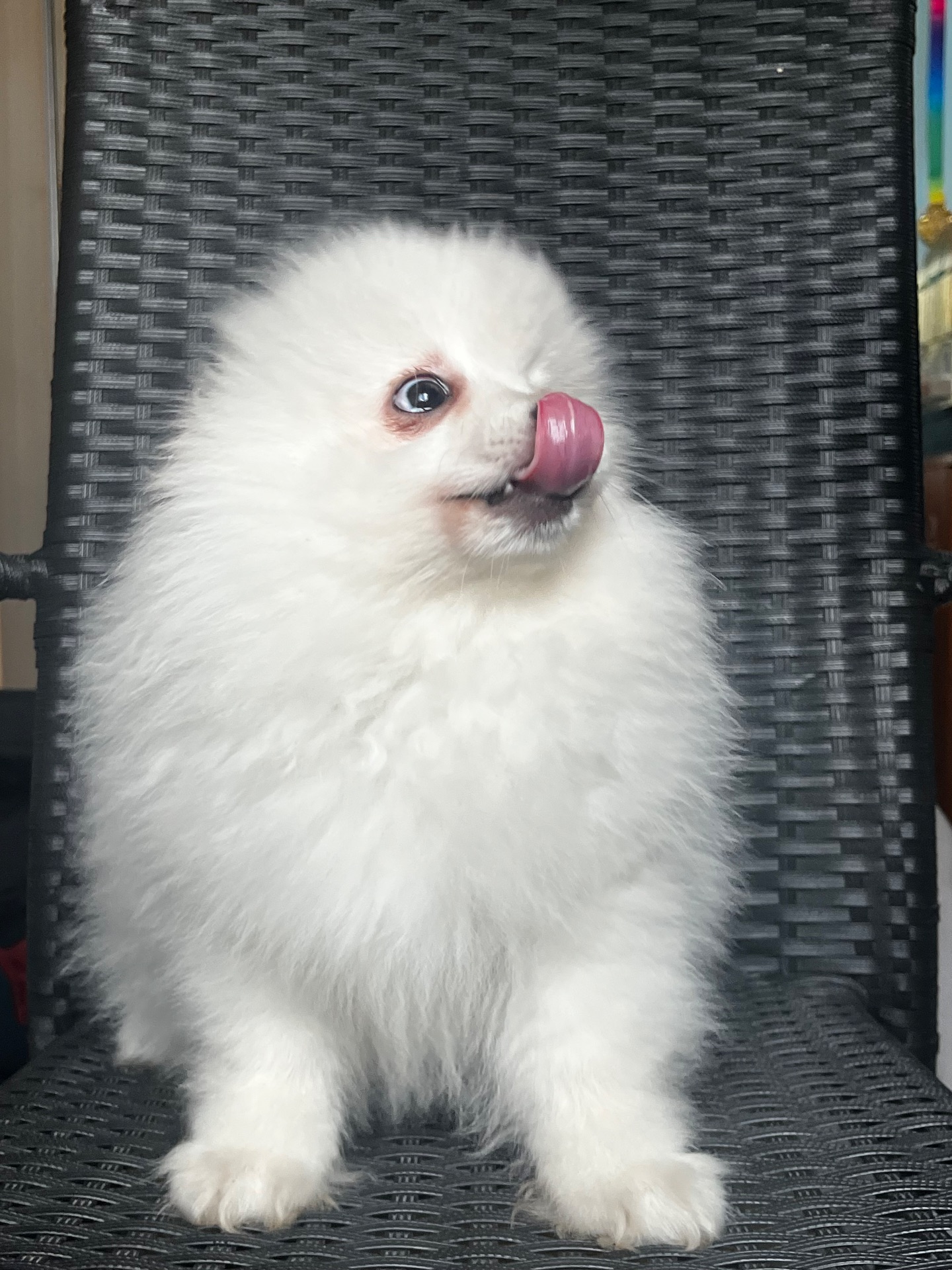 Породний хлопчик шукає родину