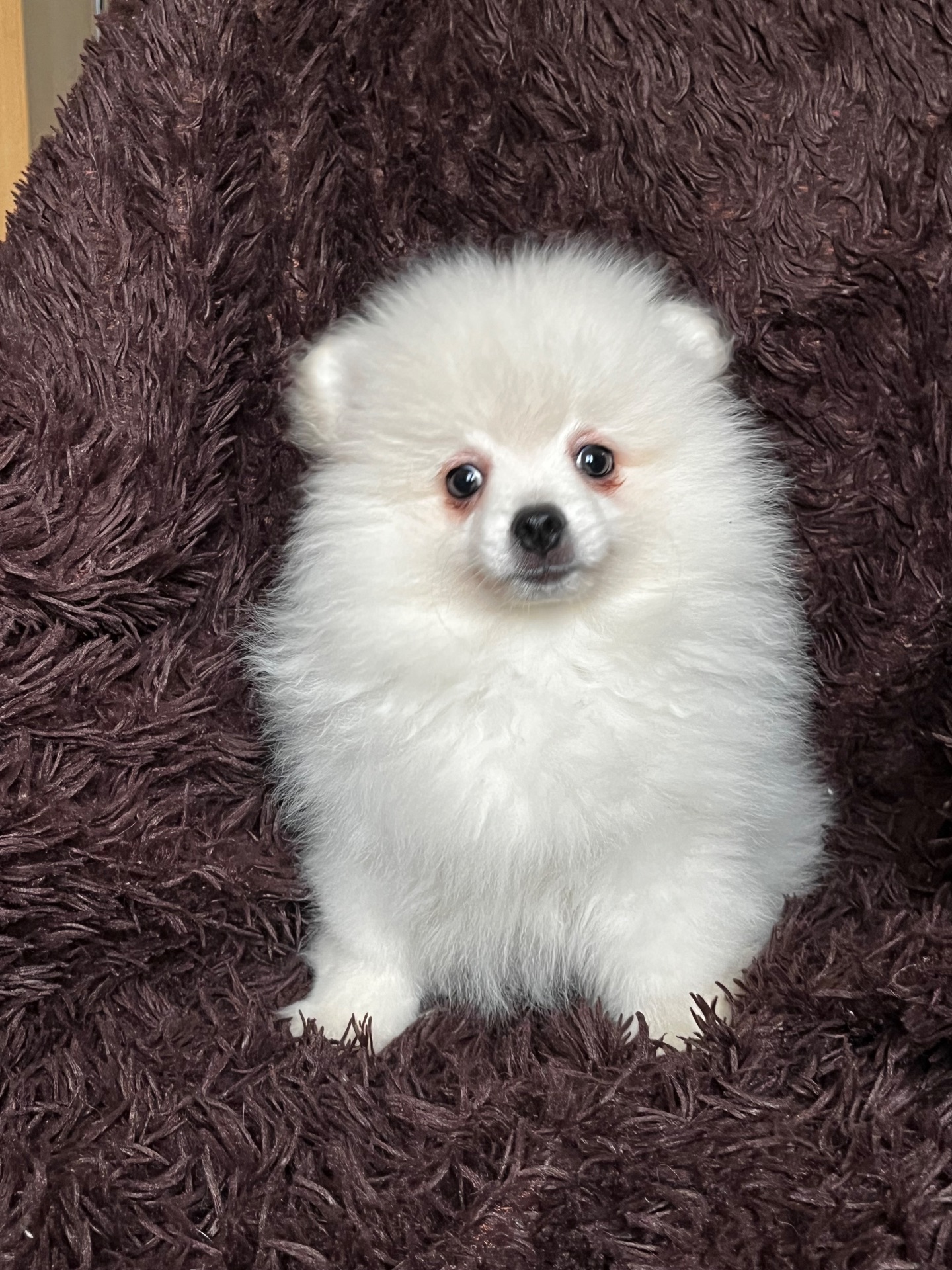 Породний хлопчик шукає родину