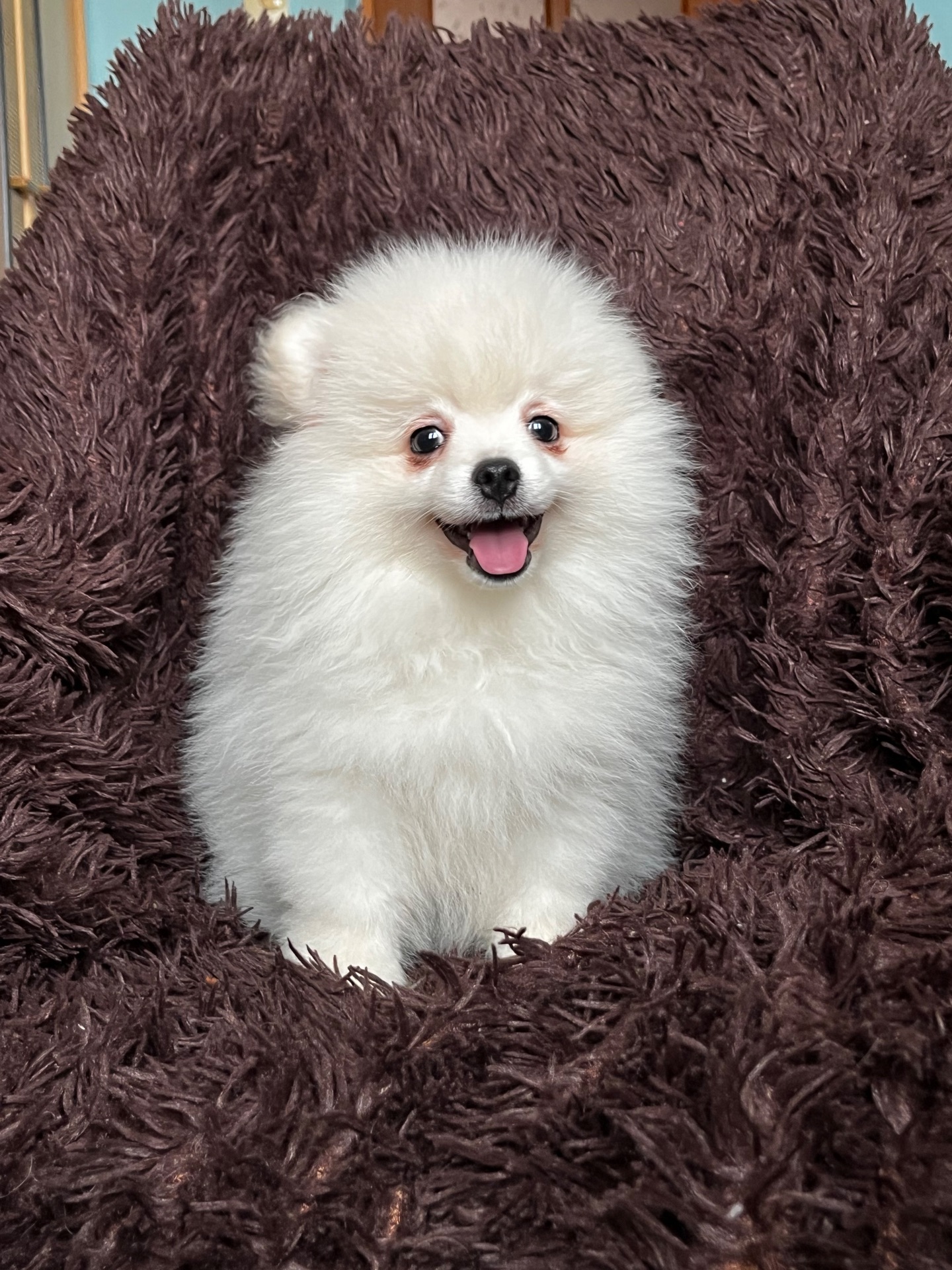 Породний хлопчик шукає родину