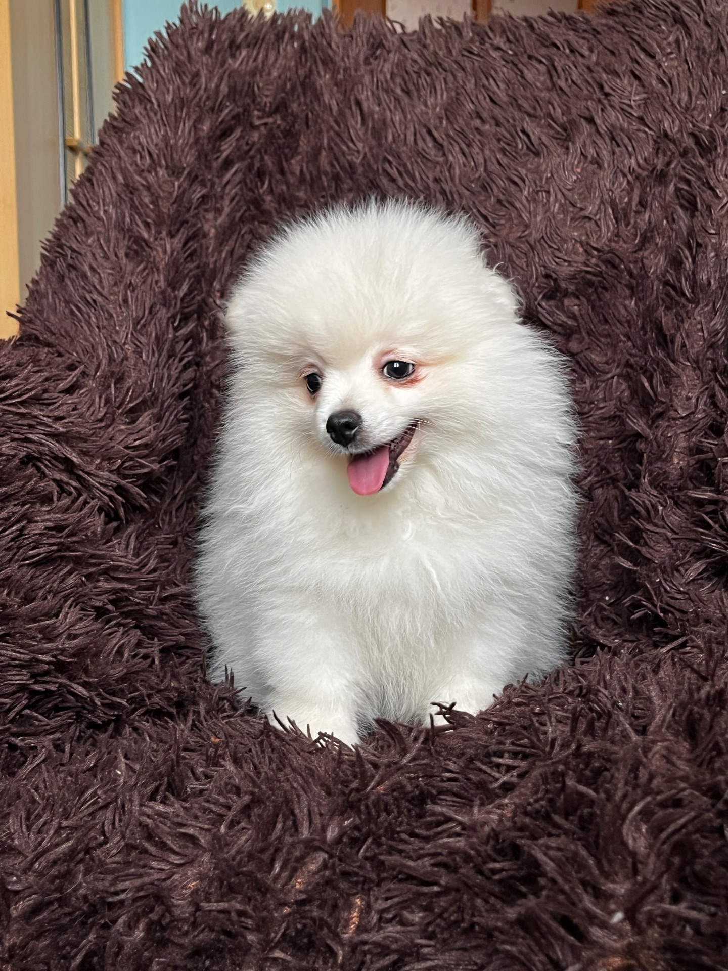 Породний хлопчик шукає родину