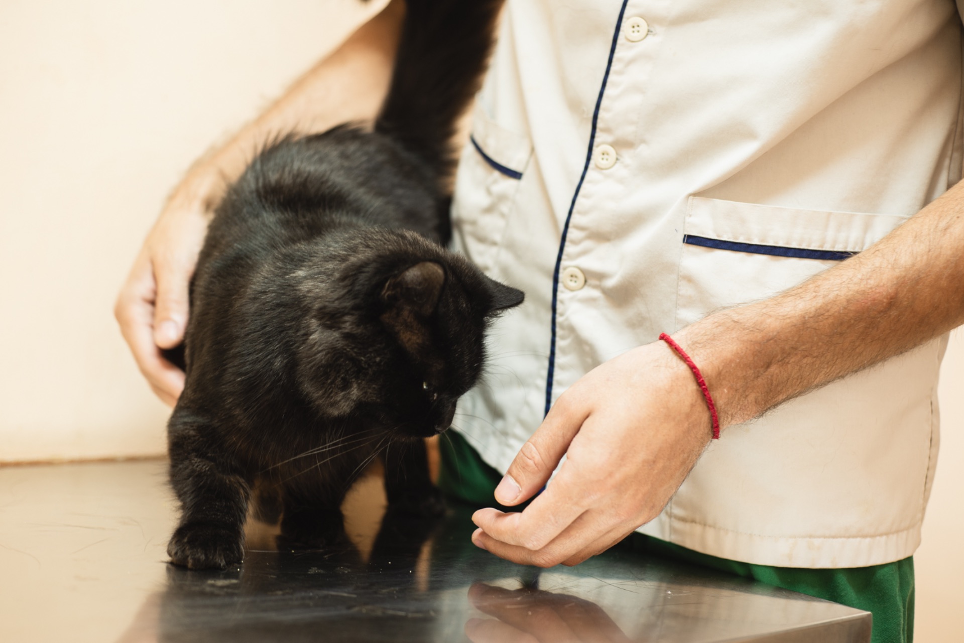 Киця та 3 малюка мріють про родину!