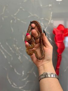 Маїсовий полоз різні морфи