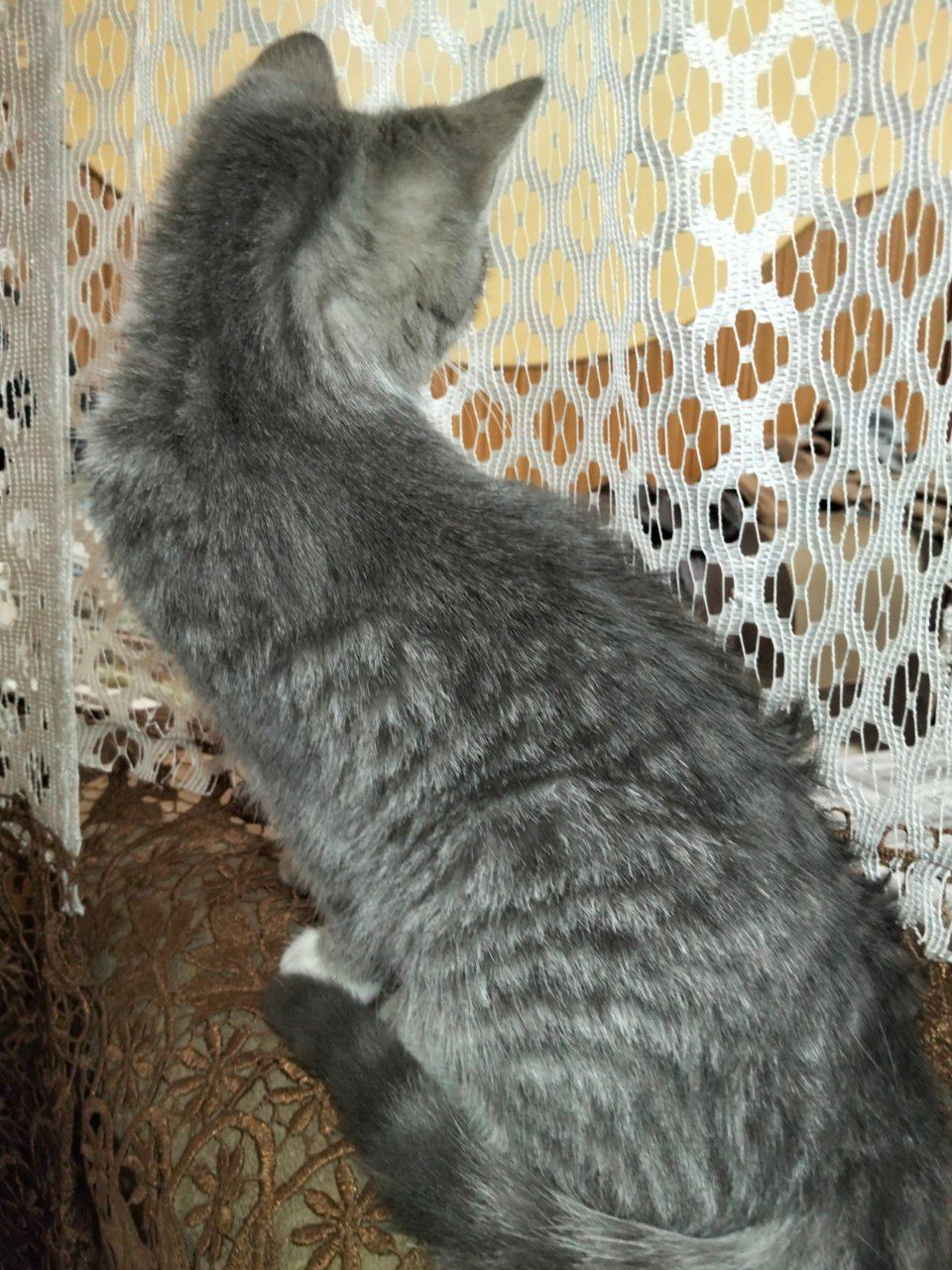 луна