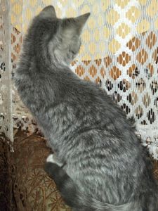 луна
