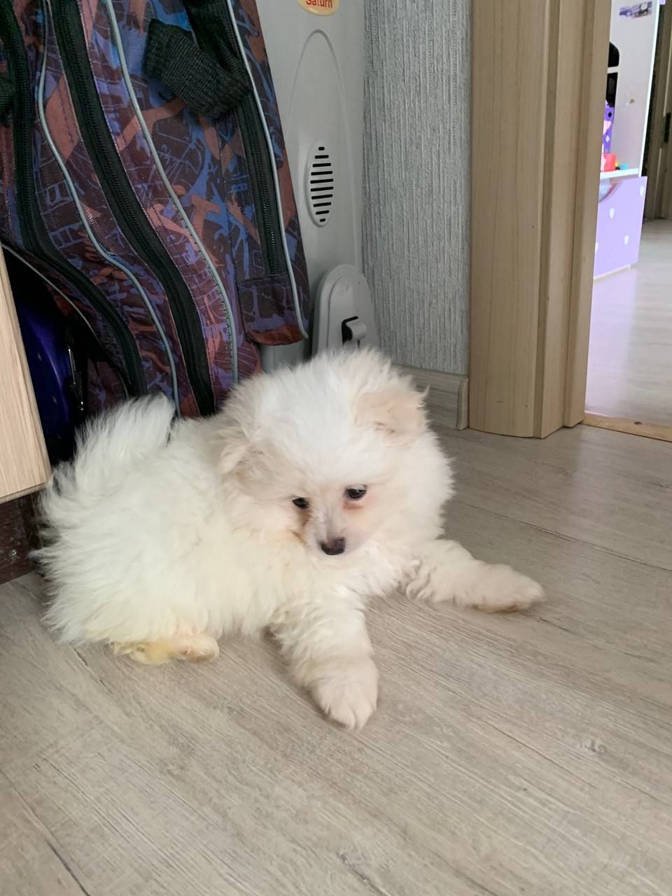 Міні хлопчик Річард, 4 міс