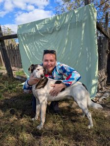 Песик Арчі шукає родину